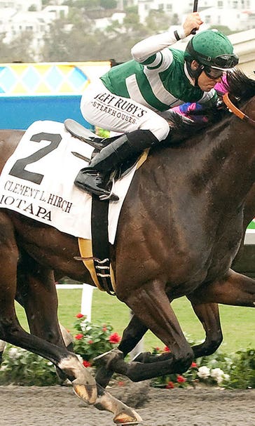 Getting to know Iotapa, winner of the Clement L. Hirsch Handicap